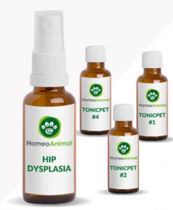 Remedies for Dog Hip Dysplasia