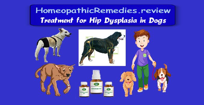 hip dysplasia in dogs