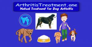 dog arthritis treatment